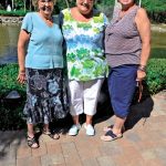 article image - 